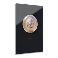 New Beginnings - Acrylic Wall Art