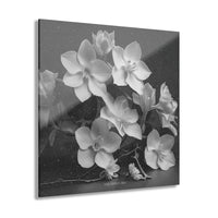 New Growth - Acrylic Wall Art
